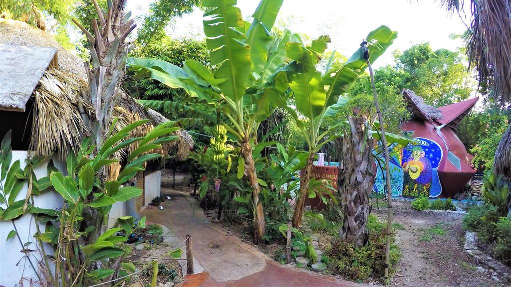 La Casa De Los Ninos Del Arbol Hotel Bacalar Exterior photo